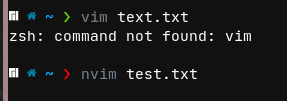 Run vim instead of NeoVIM